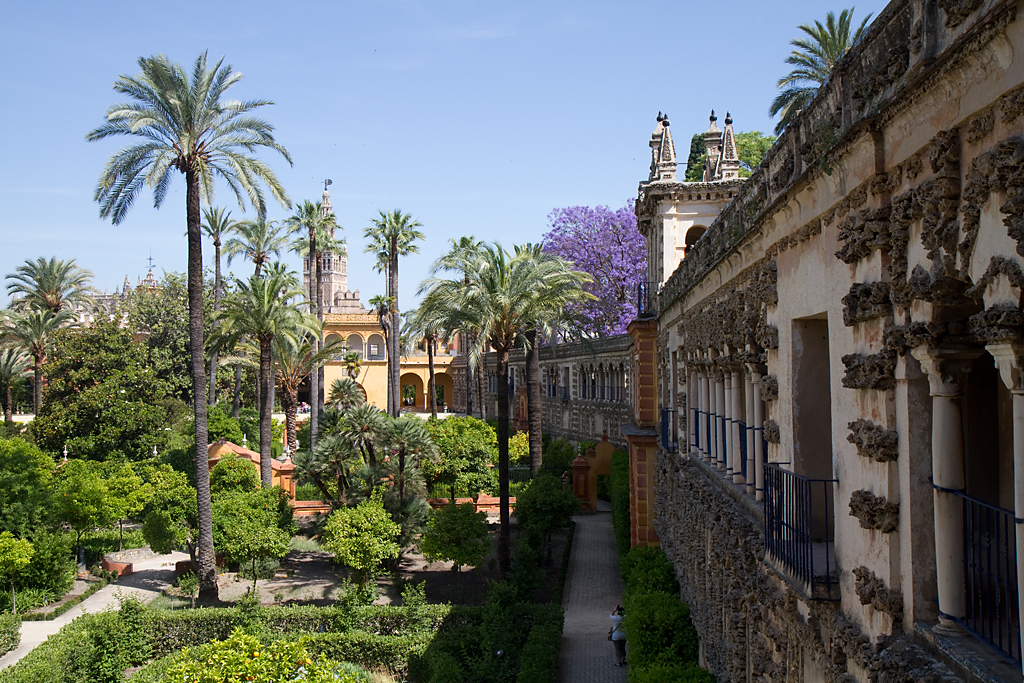 Study Abroad Programs In Spain University