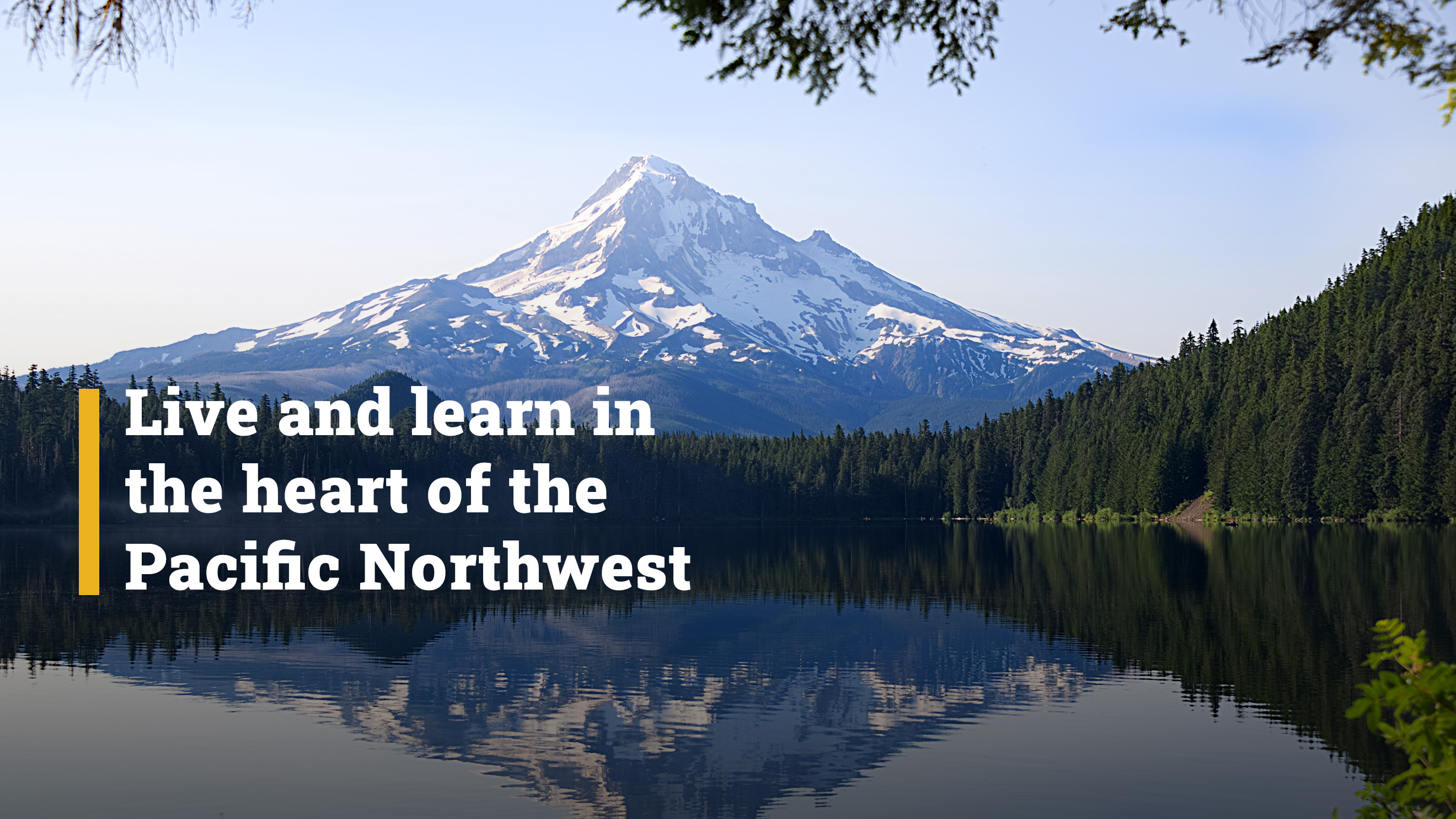 Live and learn in the heart of the Pacific Northwest
