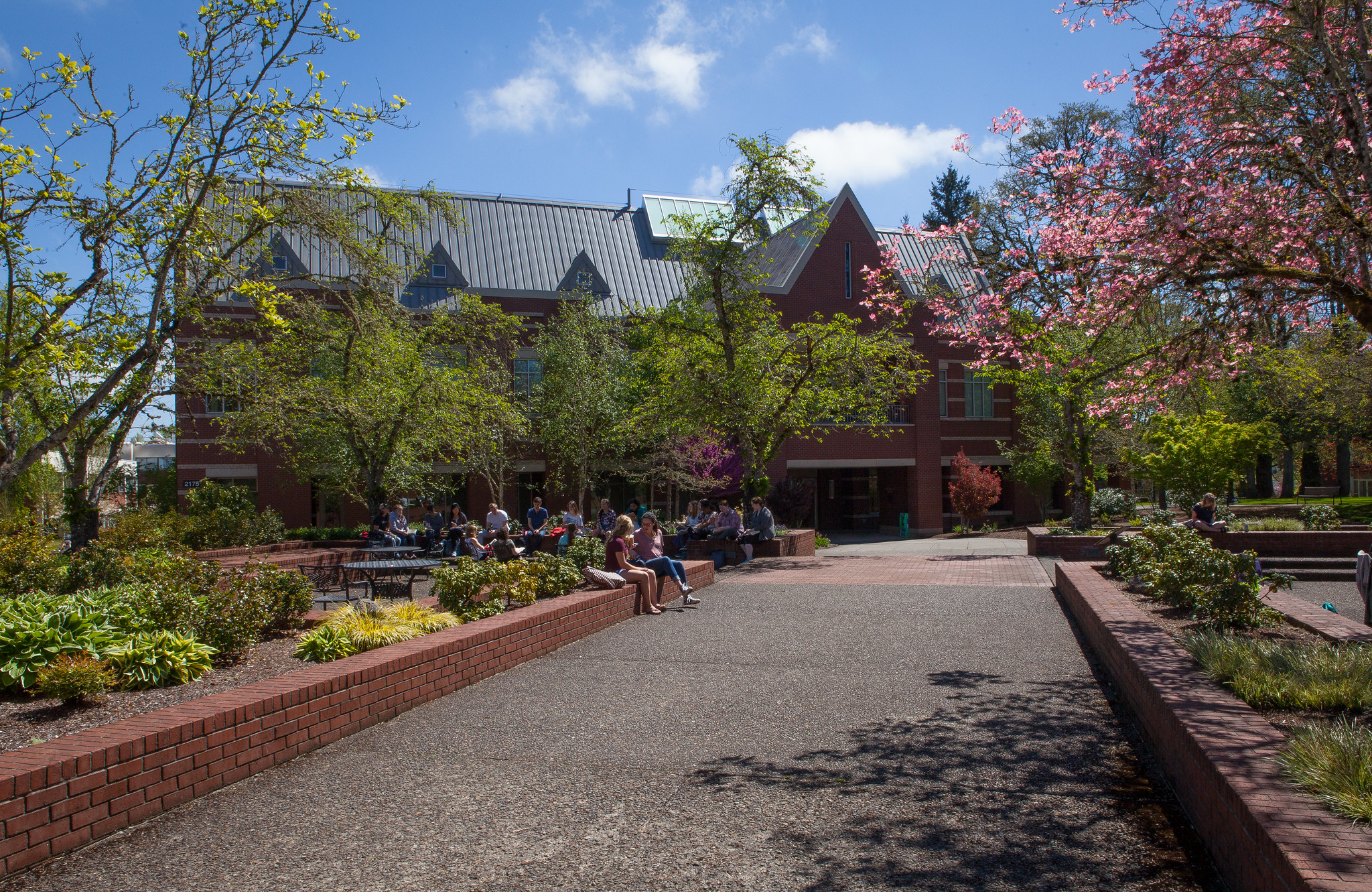 Study in Beautiful Forest Grove with our Nine-month Advanced Standing MSW program.