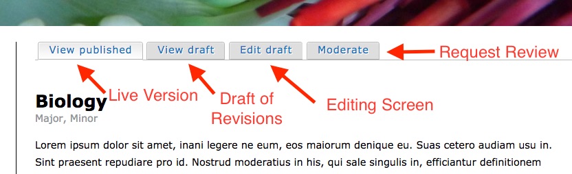 Screenshot of editing buttons for an Academic page with labels