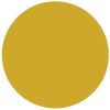 color sample of Boxer gold