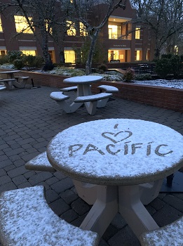Love of Pacific written in the snow