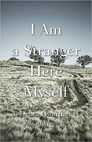 I Am a Stranger Here Myself cover