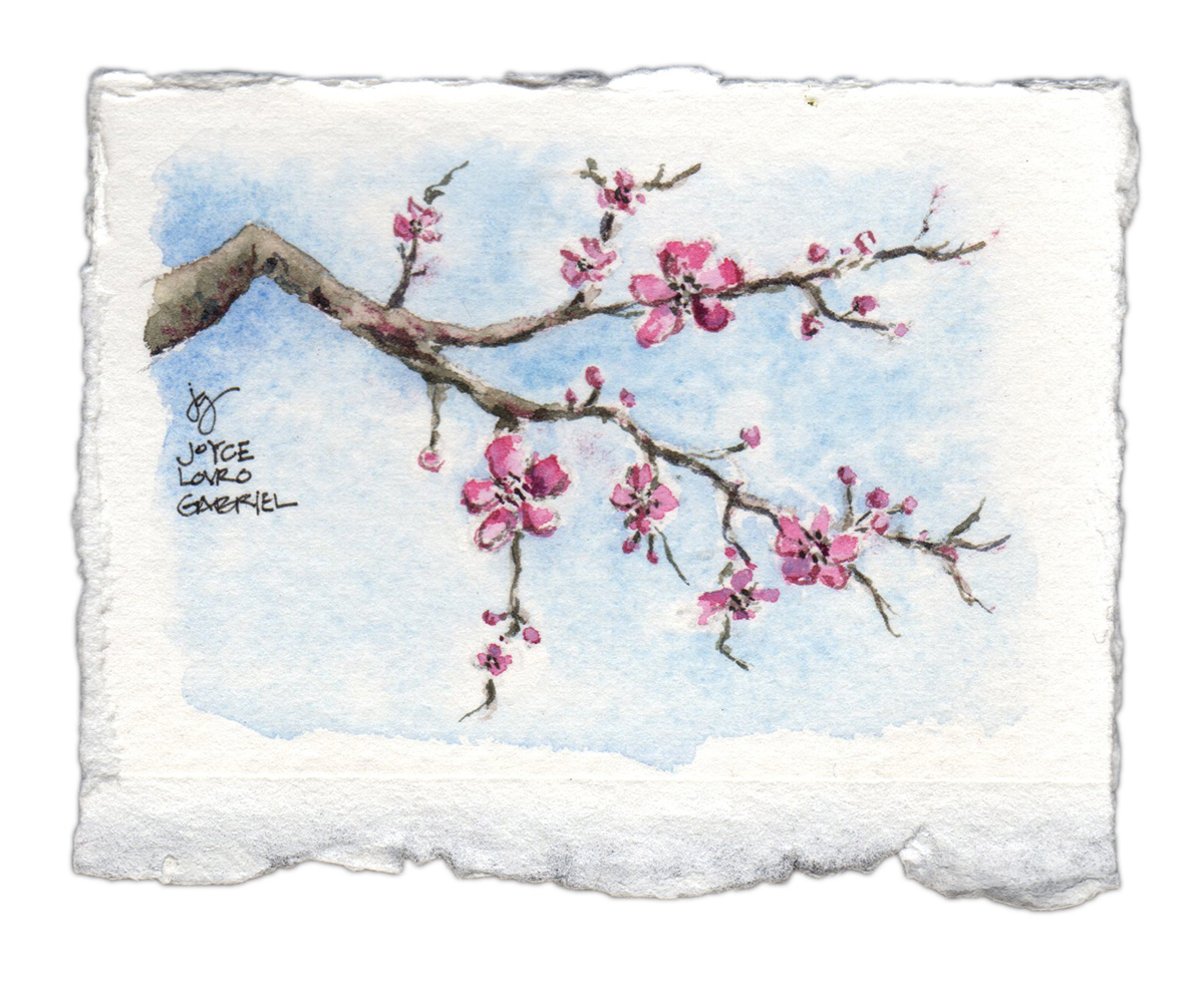 Cherry Blossoms Illustration