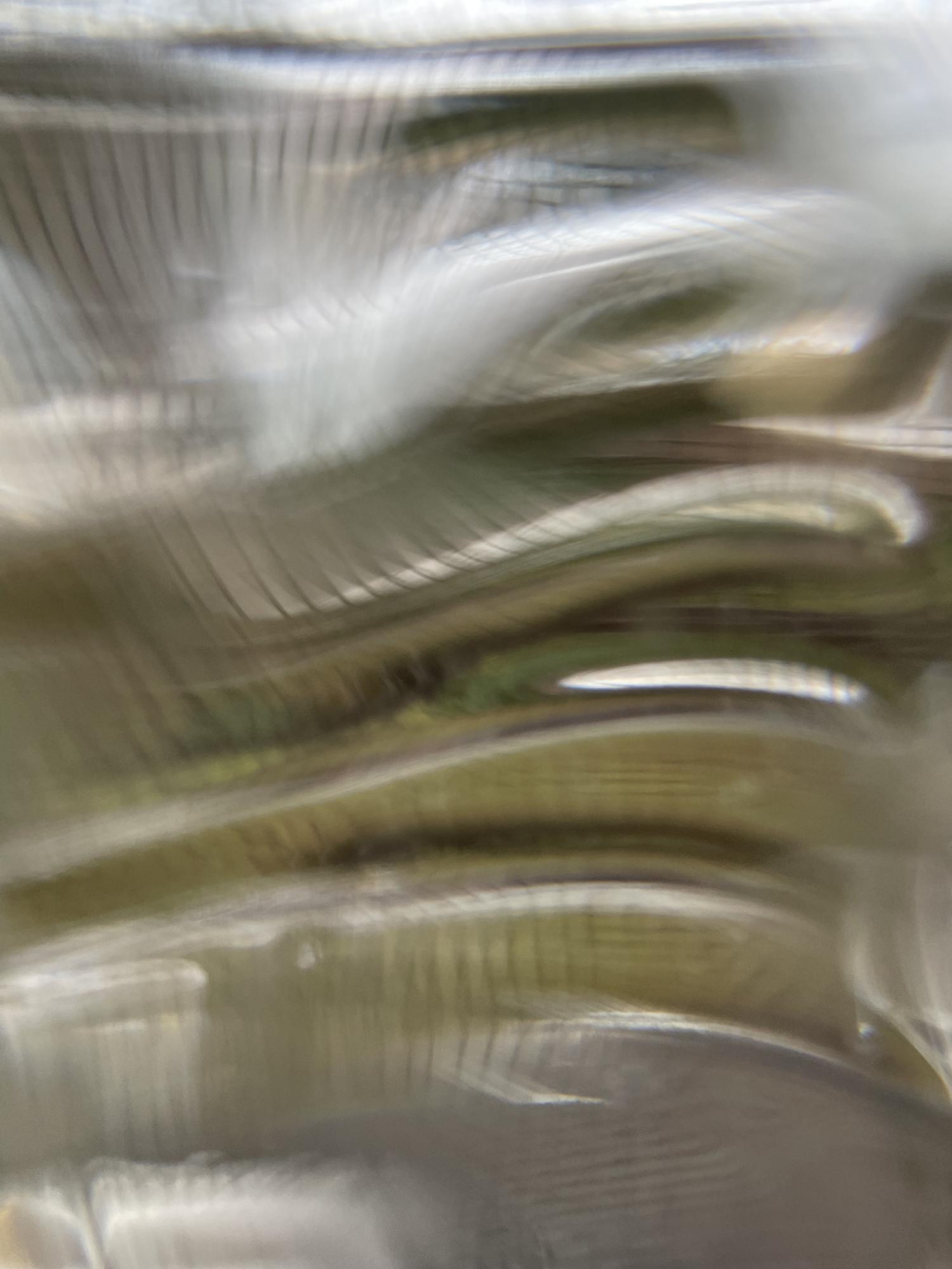 abstract image of shimmery fabric 