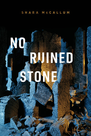 No ruined Stone book cover