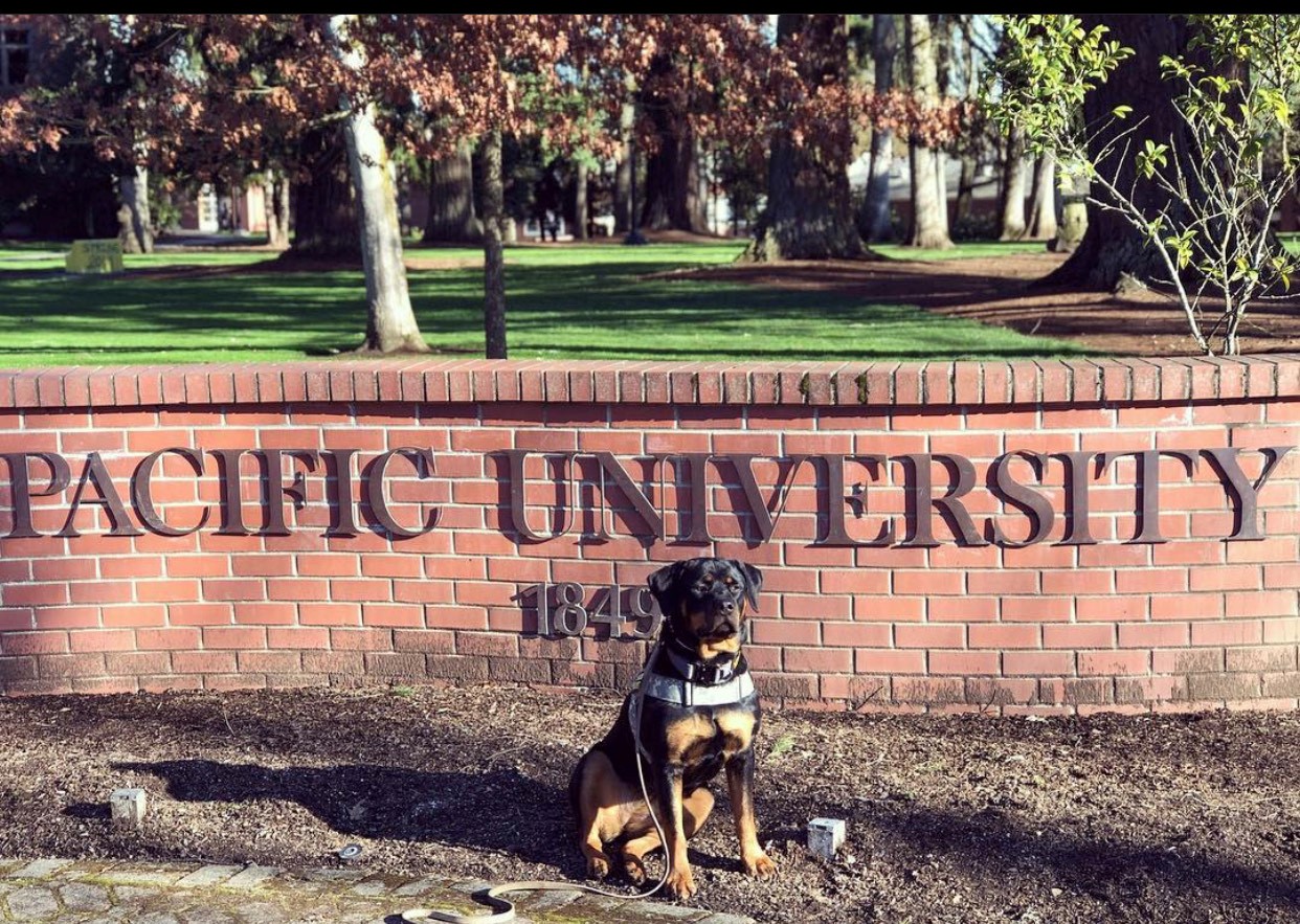 Nala in front of Pacific University entrance