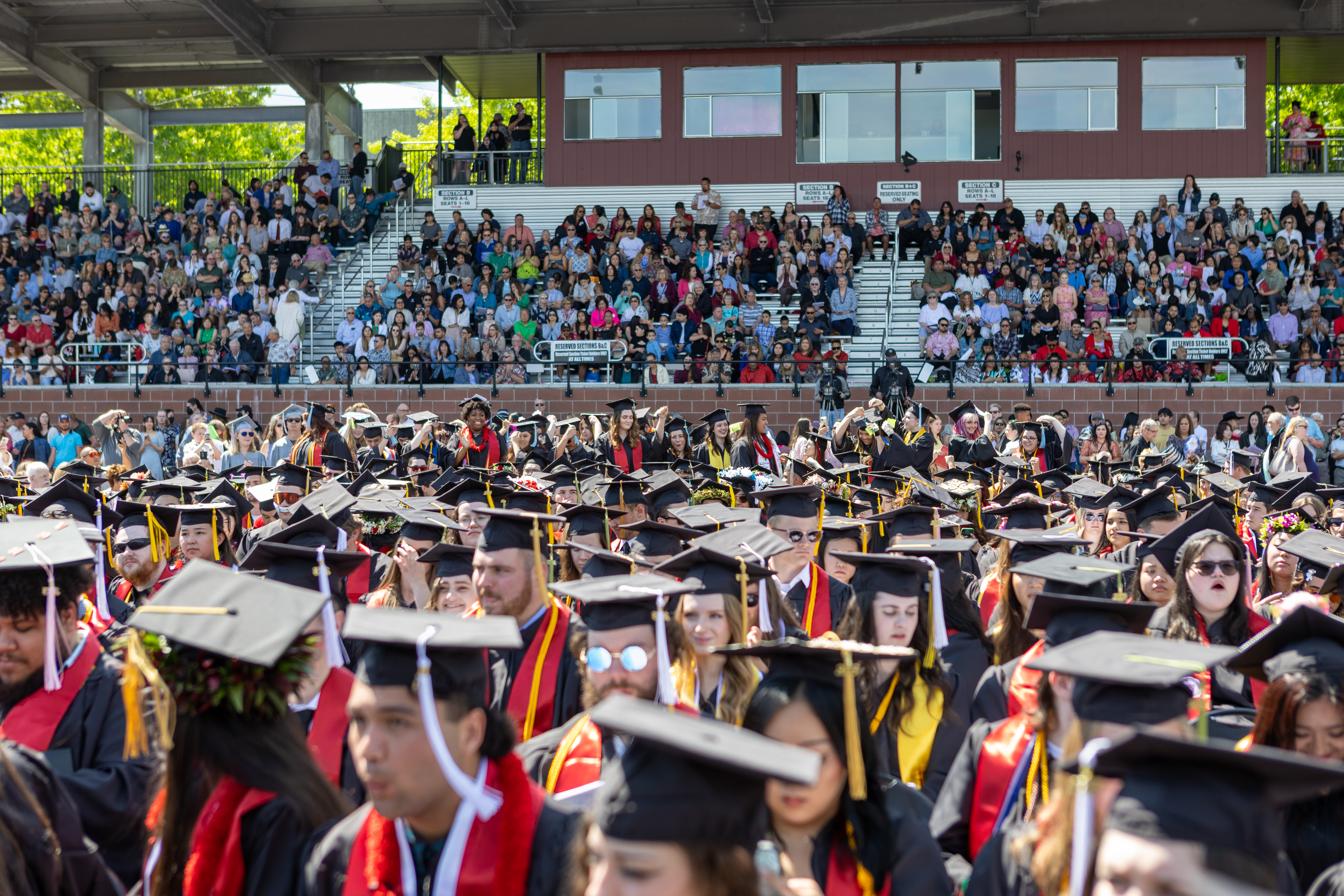 crowd of graduating students dressed in cap and gowns at Pacific University