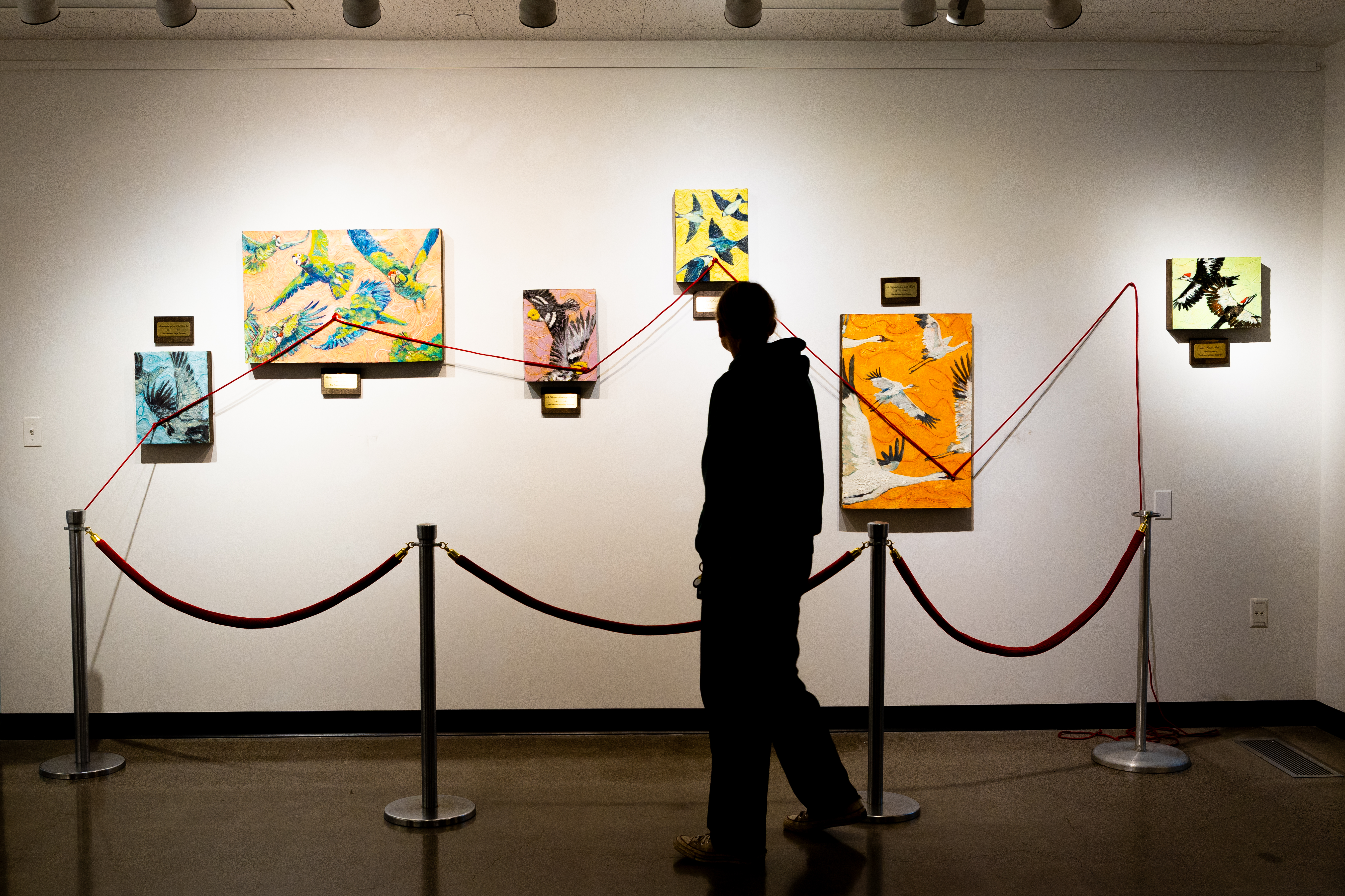 A silhouetted figure stands in front of six paintings depicting endangered or extinct birds hanging behind a velvet rope. A red sting runs from the velvet rope and connects to all but the rightmost painting.