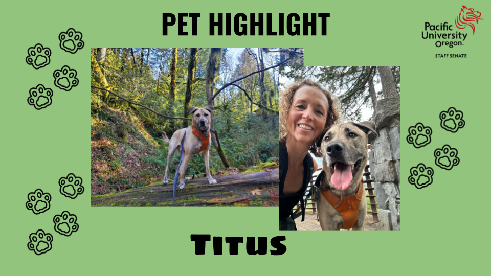 Titus, dog pictured with Andrea Lybarger on a green background