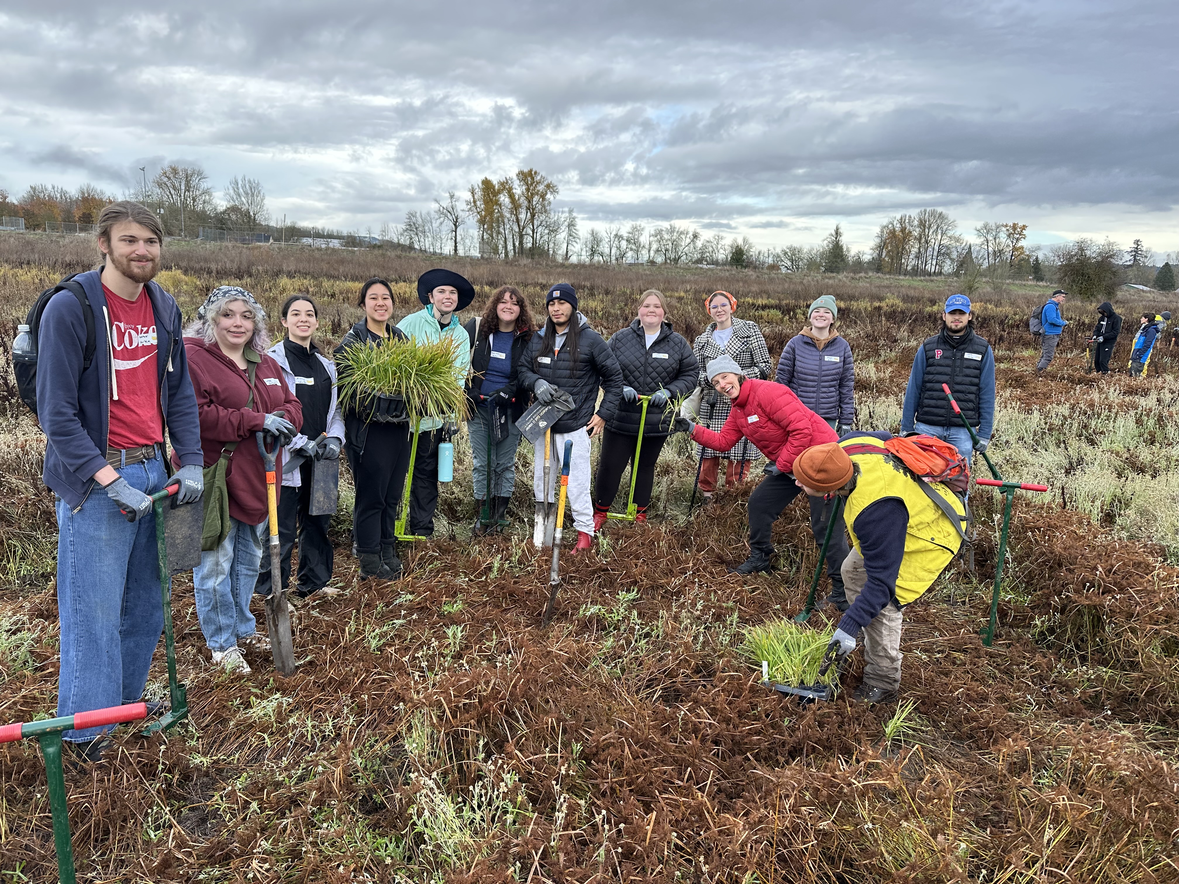 students digging in a restoration project