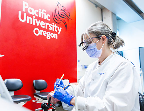 Amy Coplen demonstrates dental hygiene techniques.