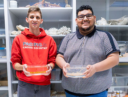 Two students hold large petrie dishes filled with microscopic sea anemone. The student on the left has shoter brown hair and is wearing a red hooded sweatshirt that reads Pacific Cross Country. The student on the right has dark short hair and a beard, is wearing black-framed glasses, and is wearing a gray and black collared shirt.