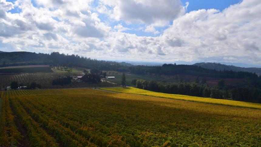 Photo of Willamette Valley Vineyards