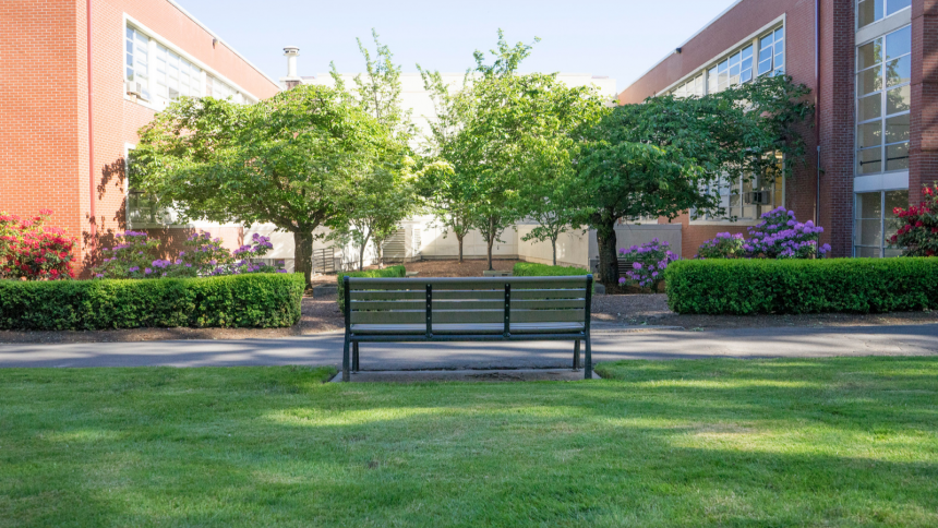 Empty bench facing garden and campus buildings