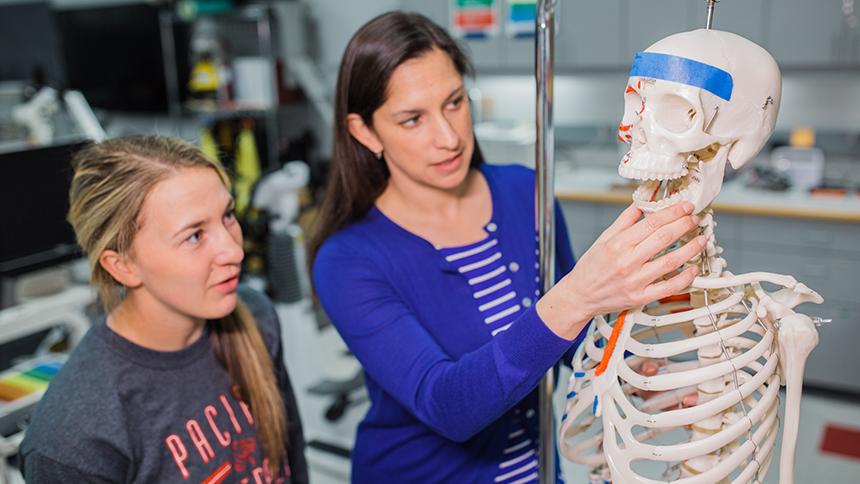 A student and professor examine bone anatomy