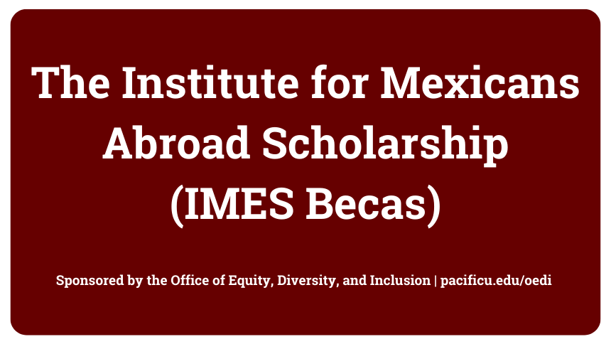 Graphic for IME Scholarship