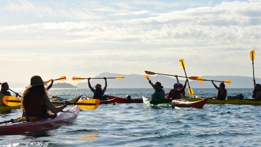 Students sea kayaking