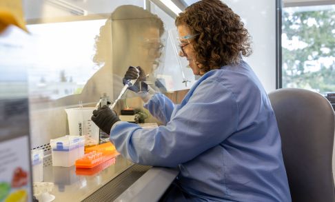 A pharmacy student works in the lab and dispenses chemicals via a pipet.
