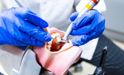 A dental therapist practices dental techniques on mouth model.