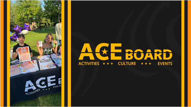 ACE Board