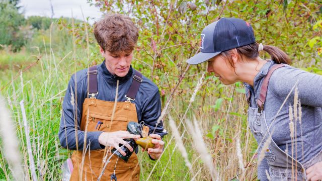 Accelerated Sustainability and Adaptation Degree