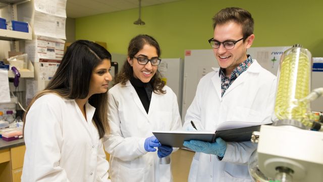 Pacific University Pharmacy students review labwork
