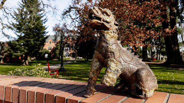 Boxer Posing On Wall In Front Of Forest Grove Campus