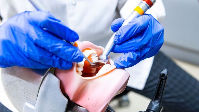 A dental therapist practices dental techniques on mouth model.