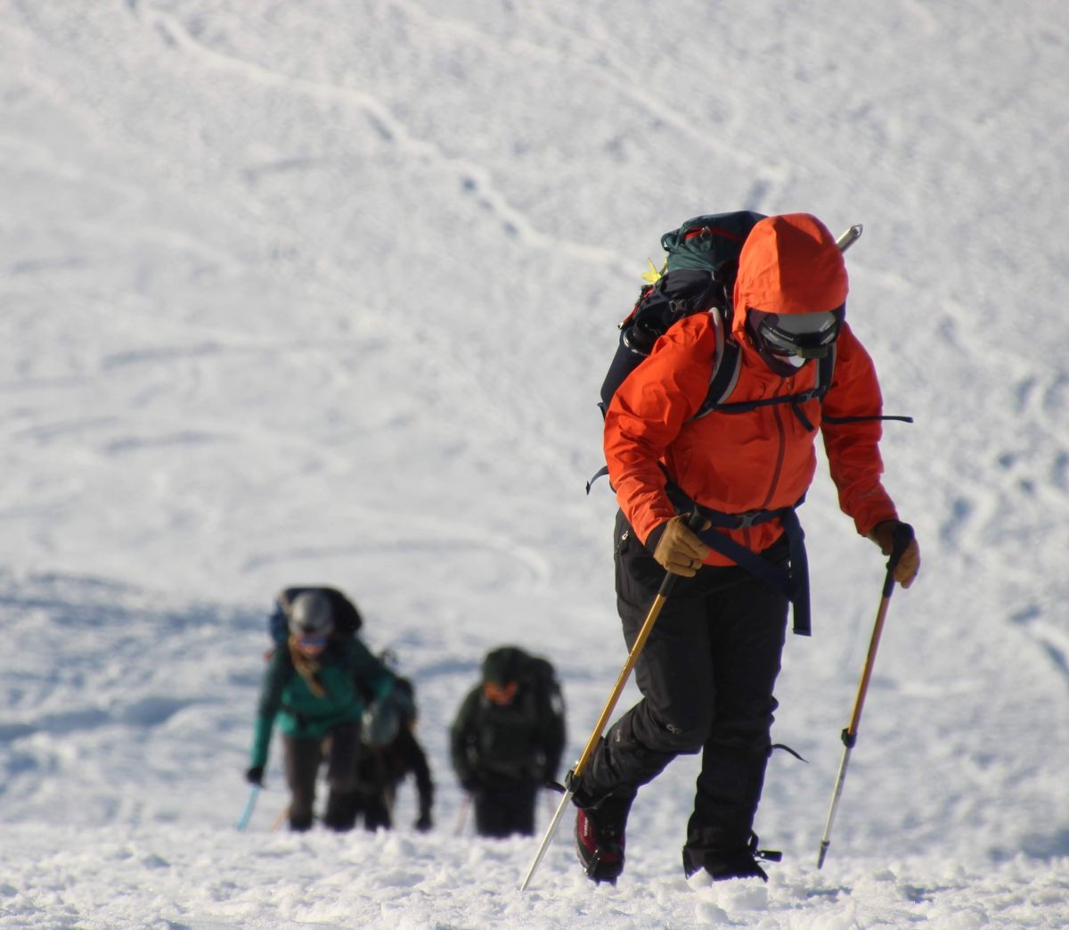 Pacific students climbing in snow