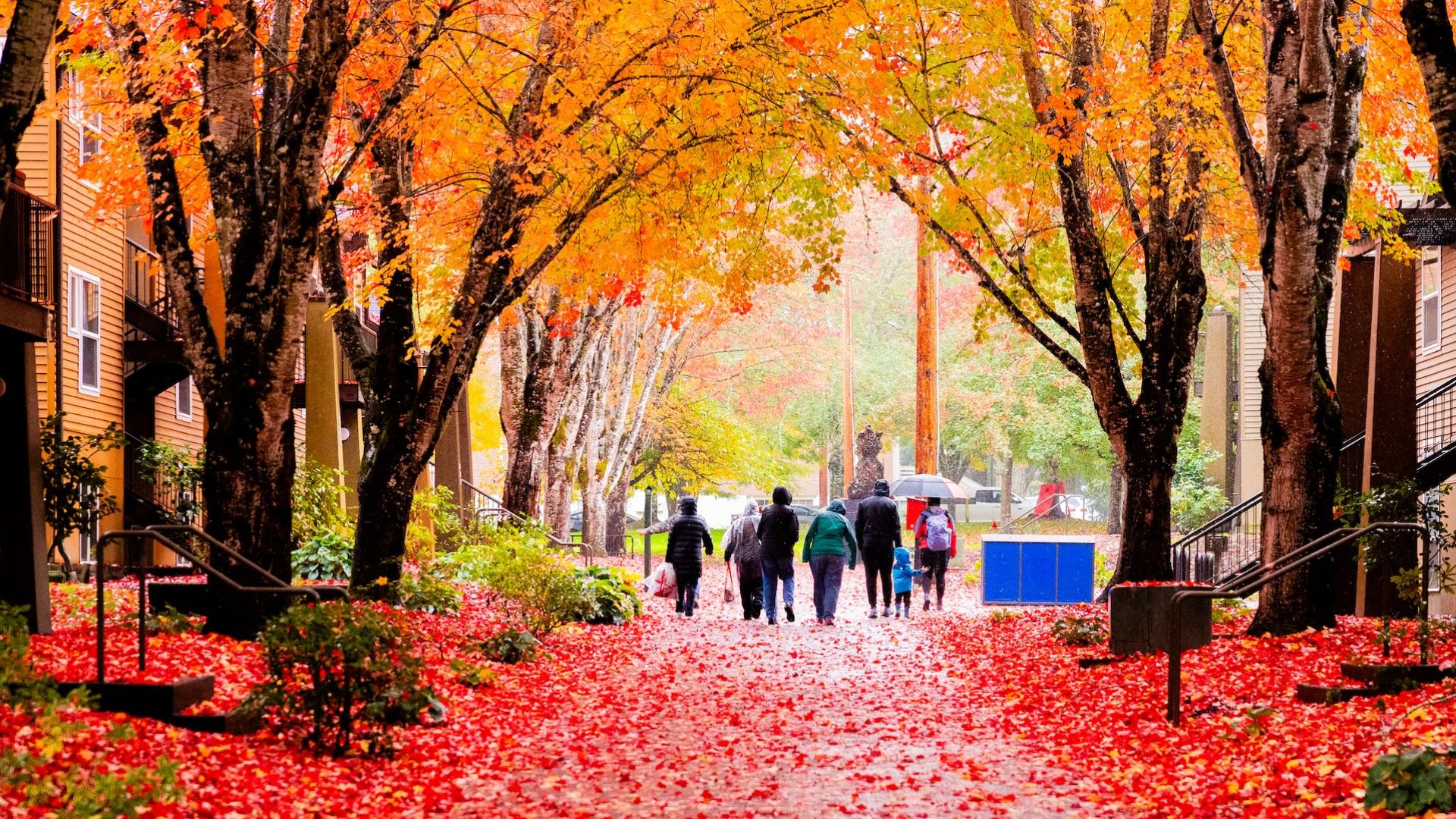 students walk on campus with colorful autumn foliage