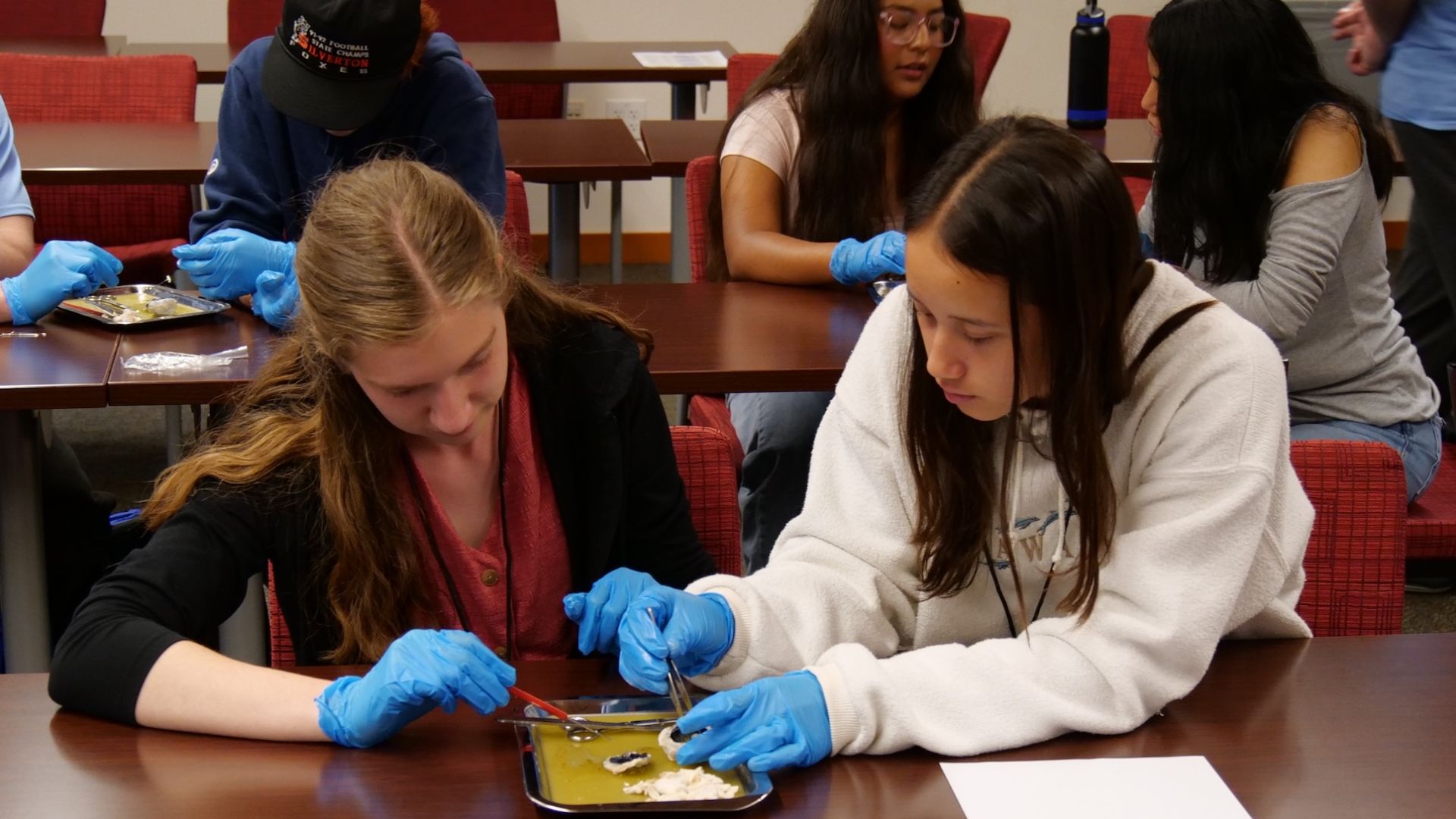 students working at Synapse camp at Pacific University