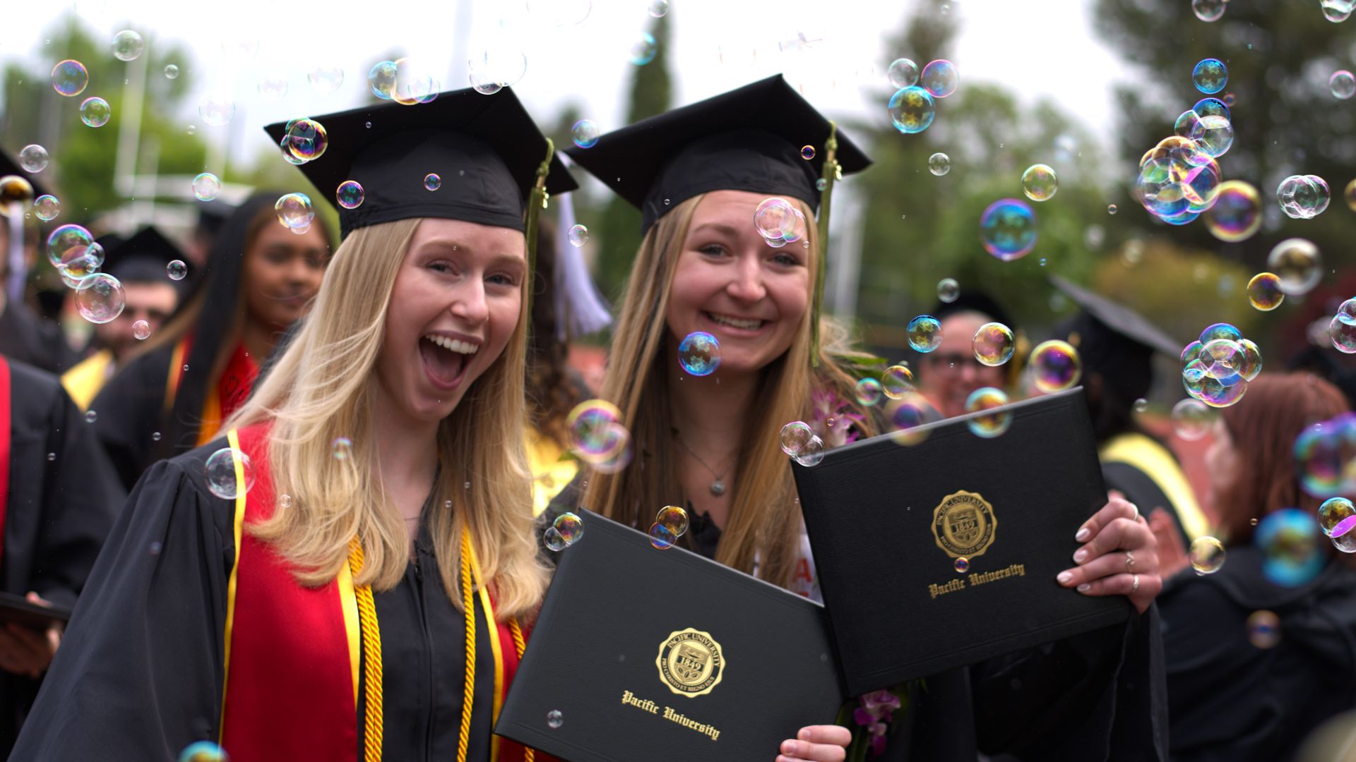 Undergraduate Graduates