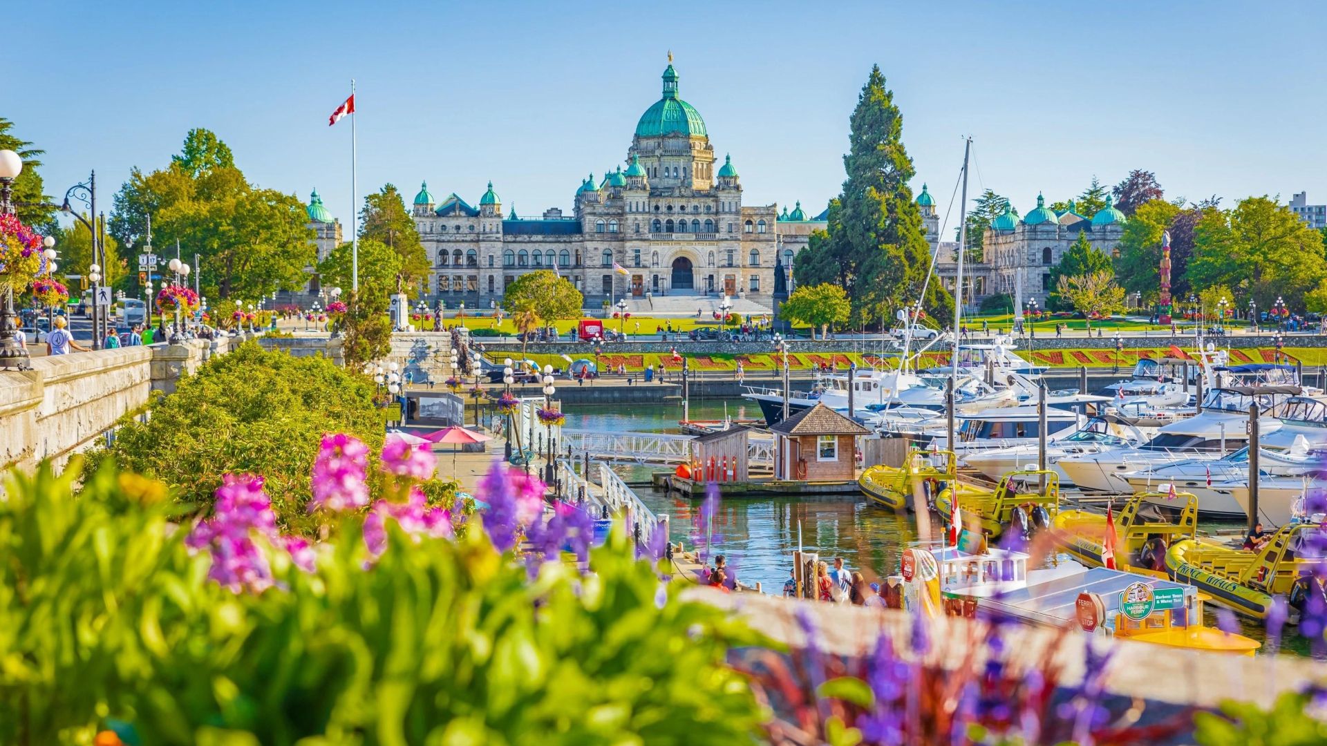 Banner Image _ Harbour