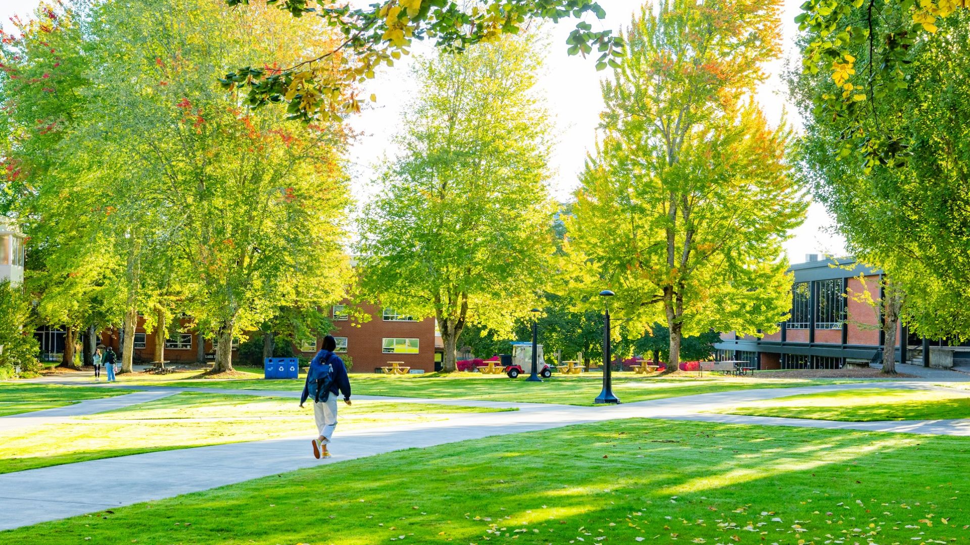 student walking across campus surrounded by green trees