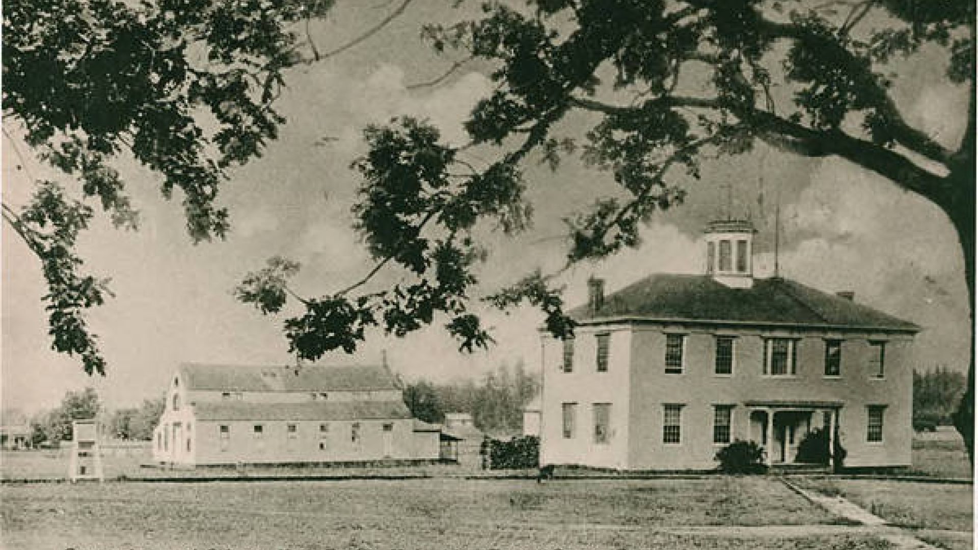  Photograph of two buildings on the Pacific University campus circa 1910. The building on the left is the gymnasium and the building on the right is now called Old College Hall.