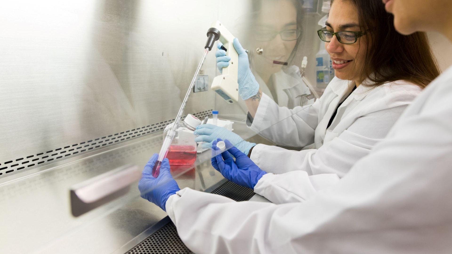 Students Working in Laboratory