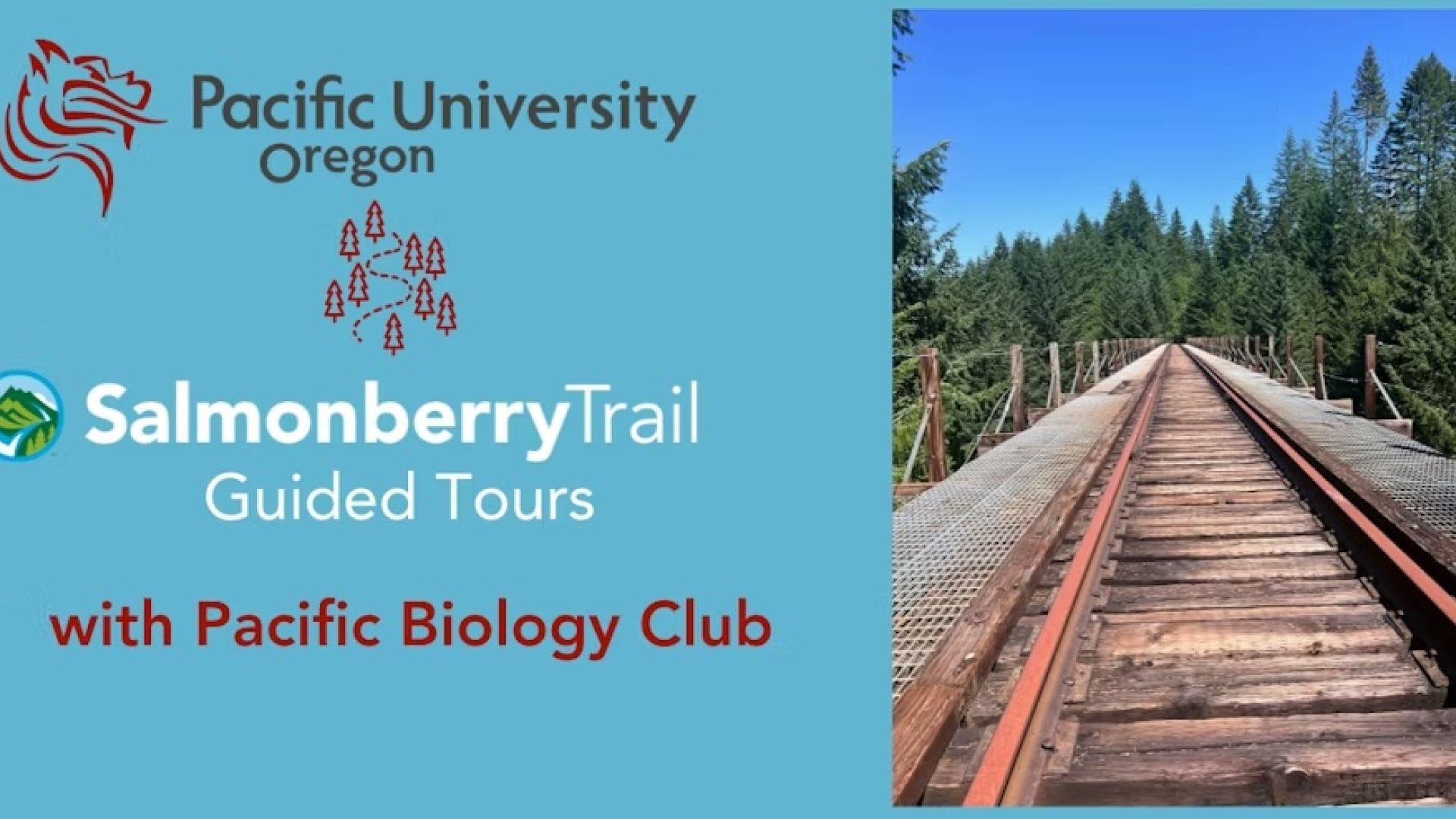 brief poster image for event