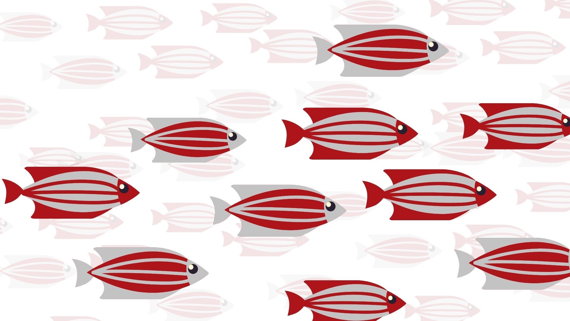 School of fish