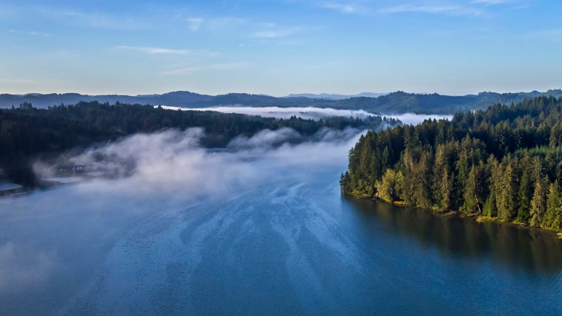 Forested Yakona peninsula extends into Yaquina Bay with fog rolling in