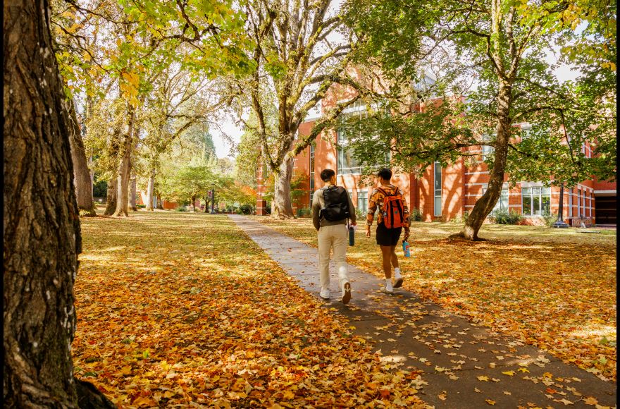 Two students walk across a campus path covered in fall leaves